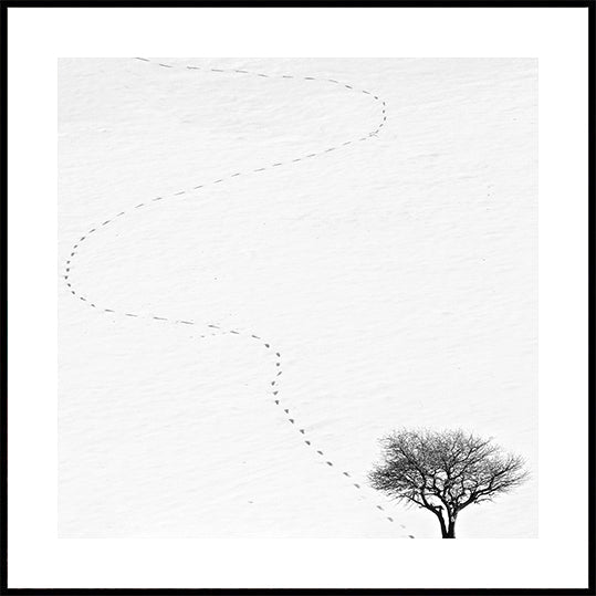 jalanjälki Julisteet