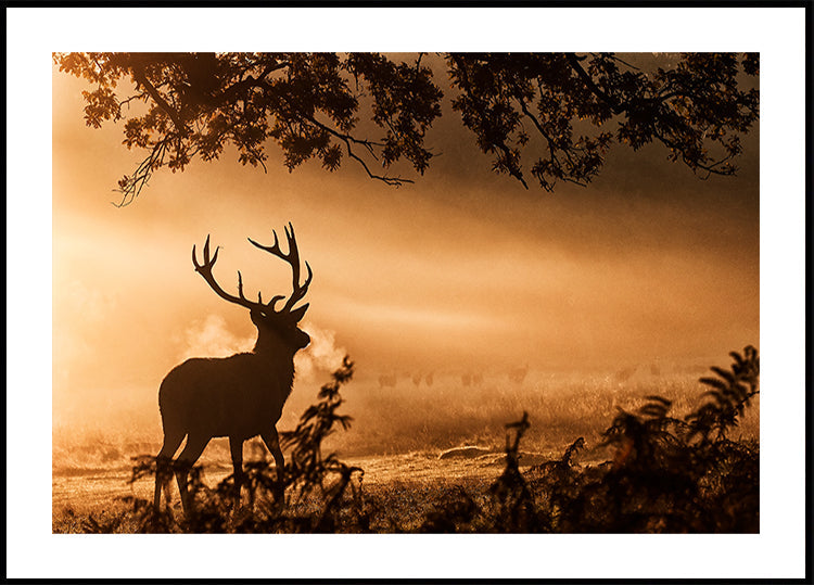 Red Deer Stag in the Mist -juliste