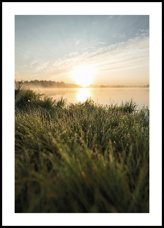 Dewy Dawn by the Lake -juliste 