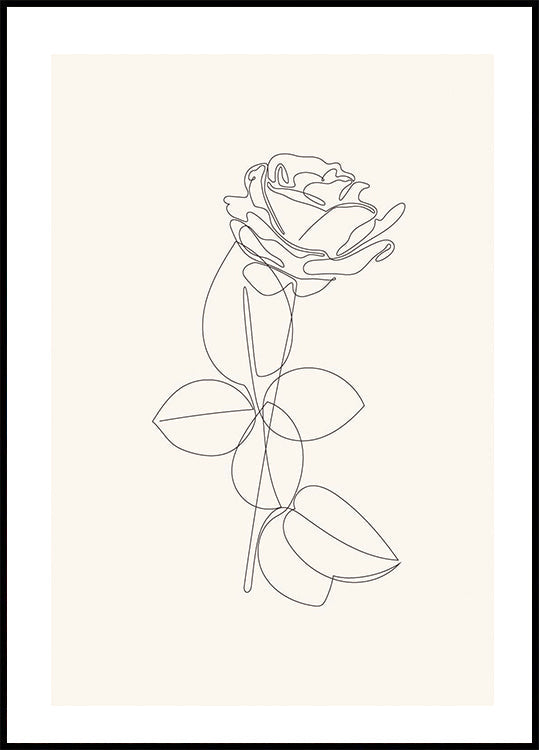 Line Art Rose -juliste