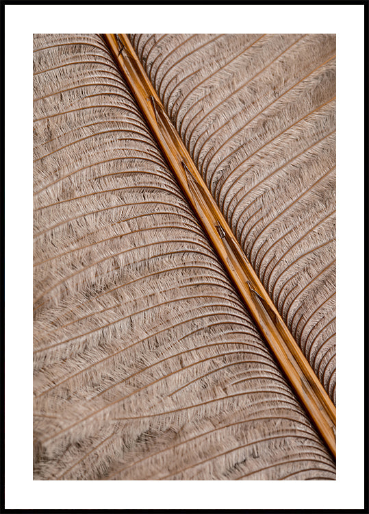 Feather_007 juliste