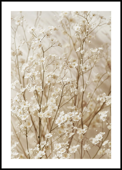 Gentle Bloom: Dried White Baby's Breath -juliste