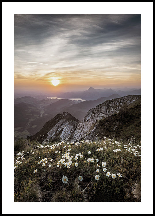 Sunrise Over Mountain Wildflowers -juliste 