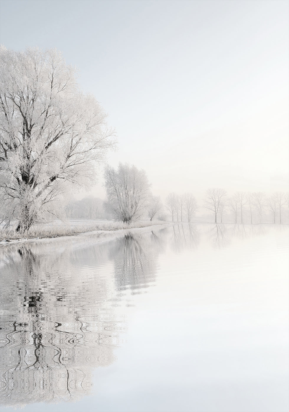 Frosty Winter Tree №1 juliste