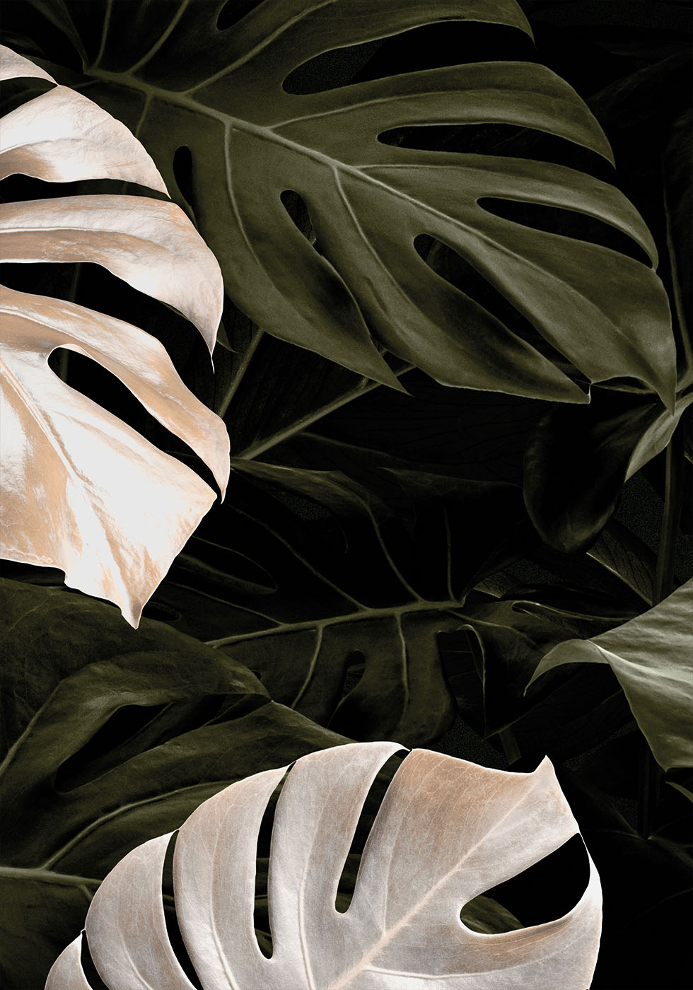 Golden Monstera Leaves -juliste