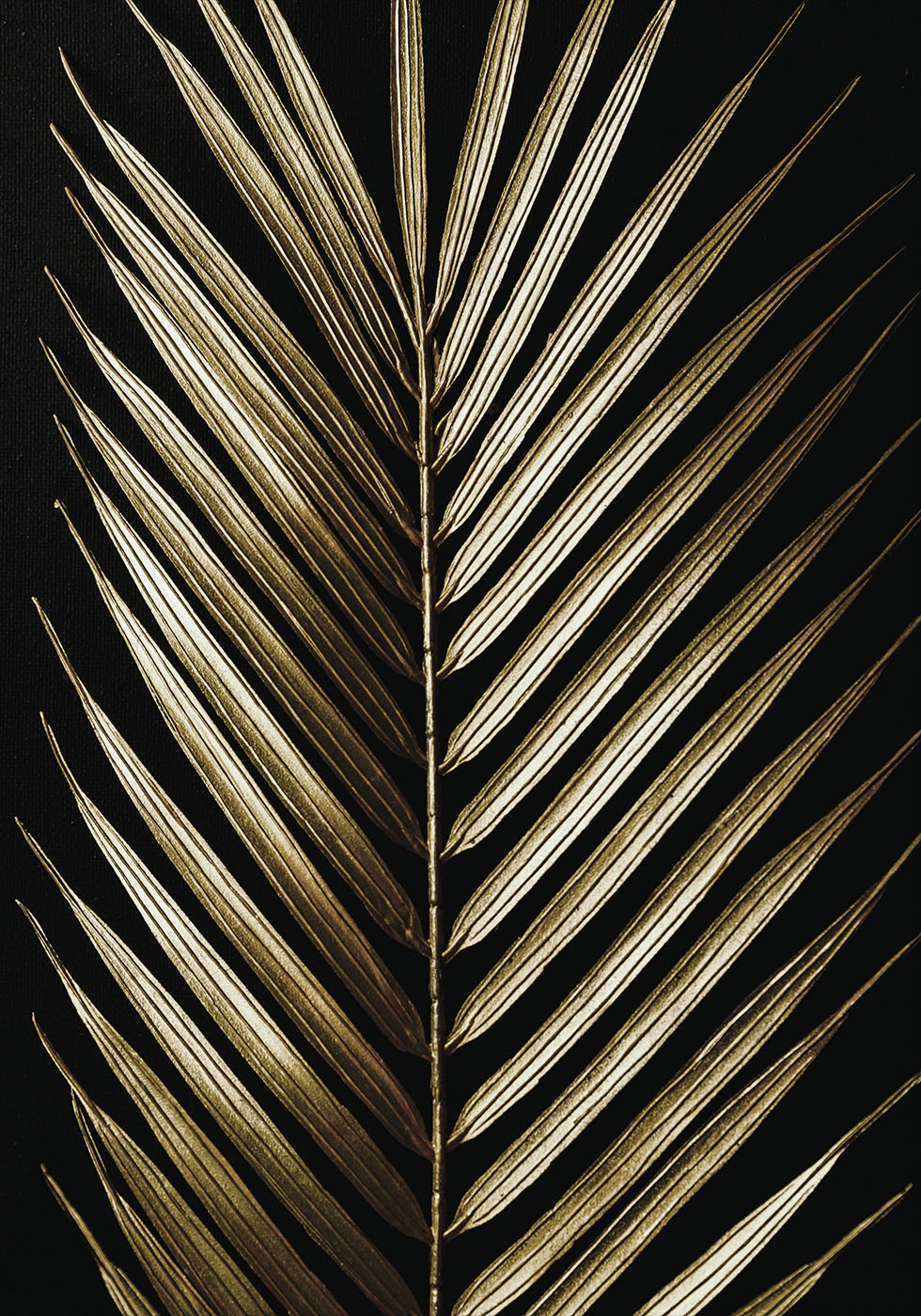 Golden Palm Leaf -juliste