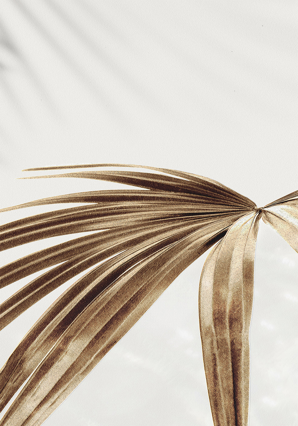 Golden Palm Leaves -juliste 