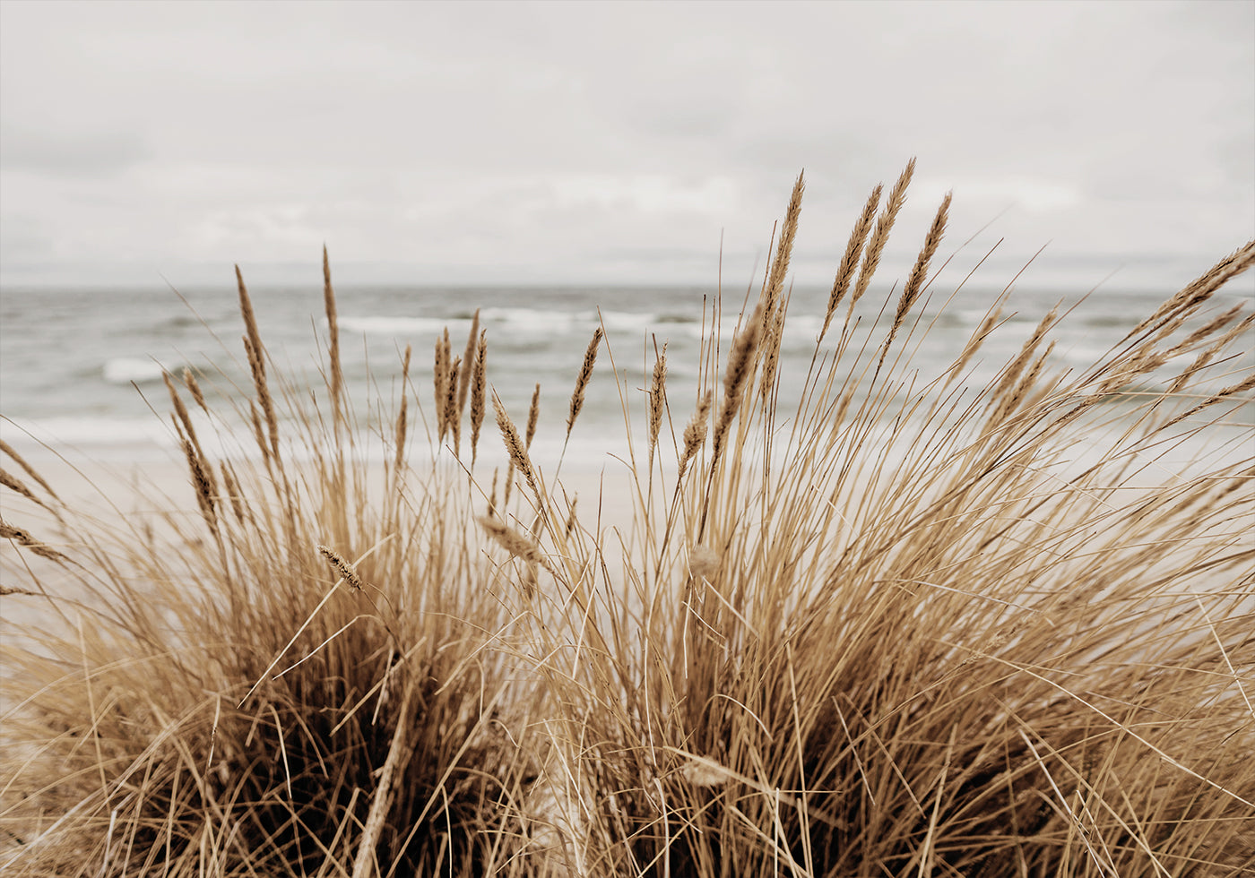 Grass by the Sea №2 juliste