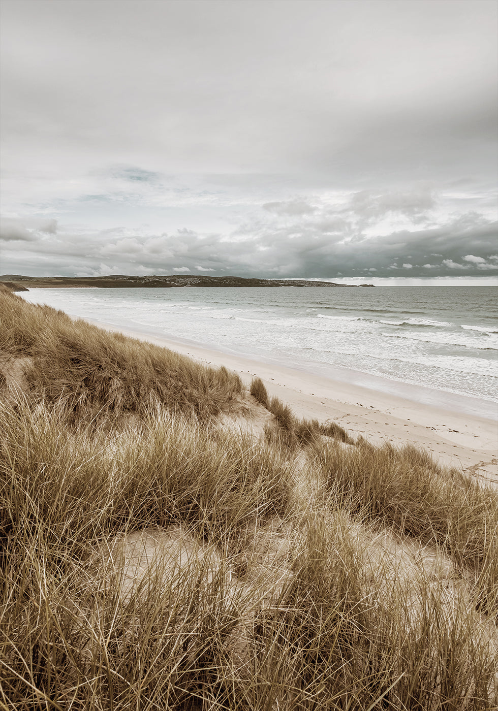 Grass On The Beach -juliste 