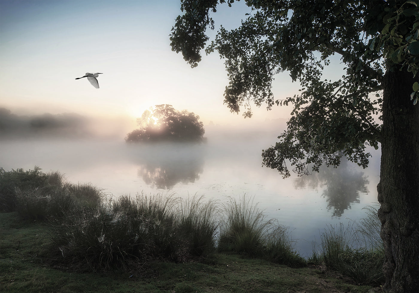 Heron Flying Over Sumuinen Lake -juliste 