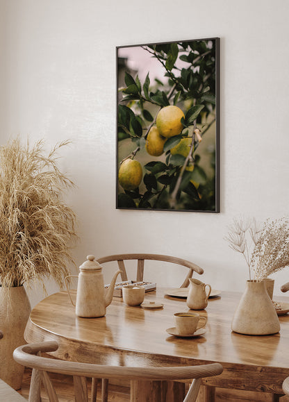 Lemons Tree -juliste 