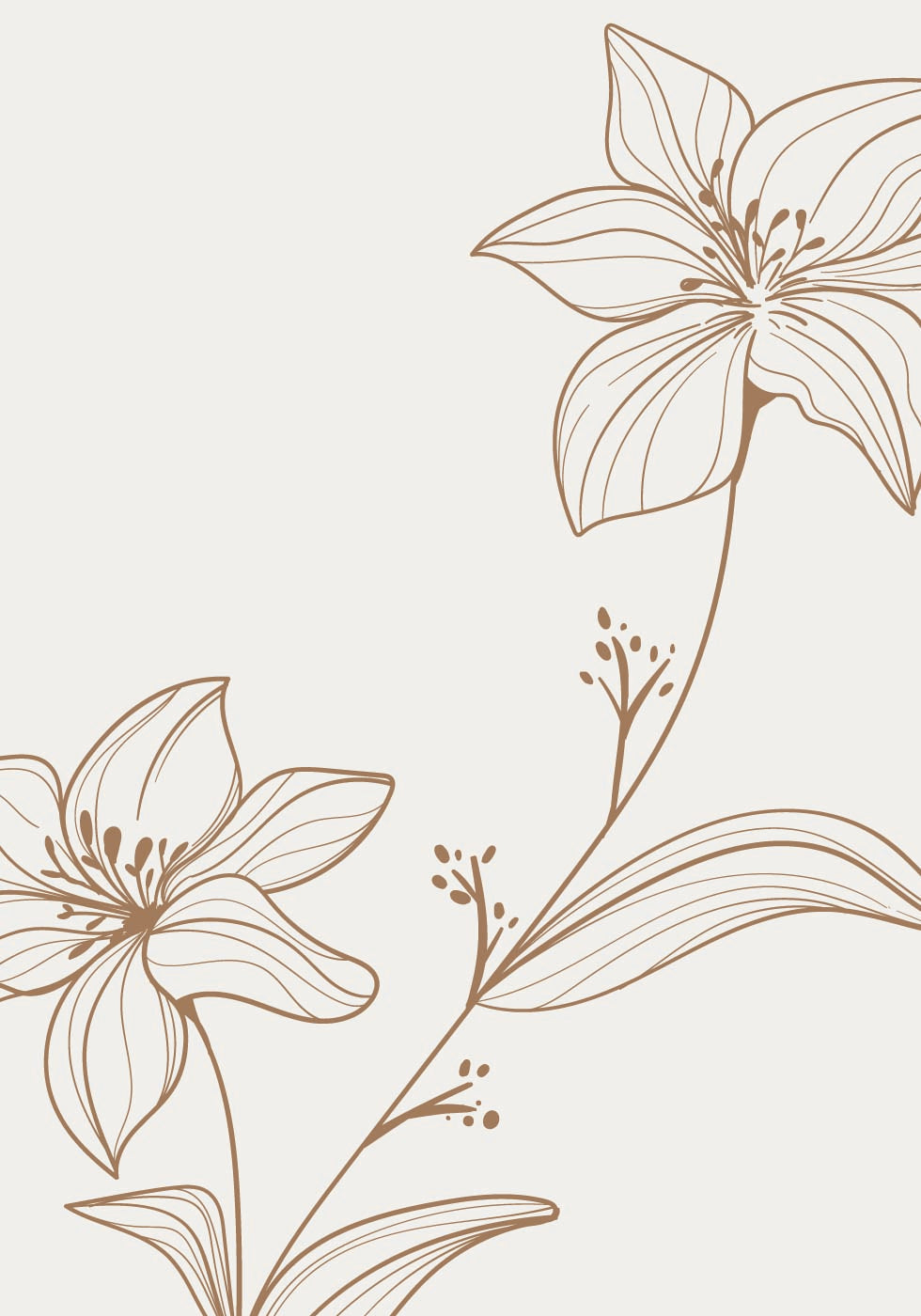 Floral Line Art -juliste