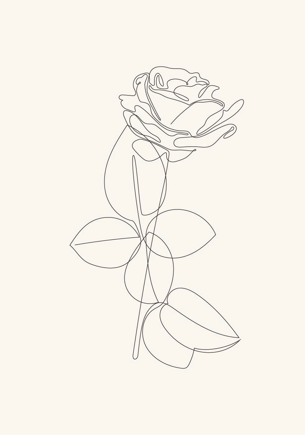 Line Art Rose -juliste