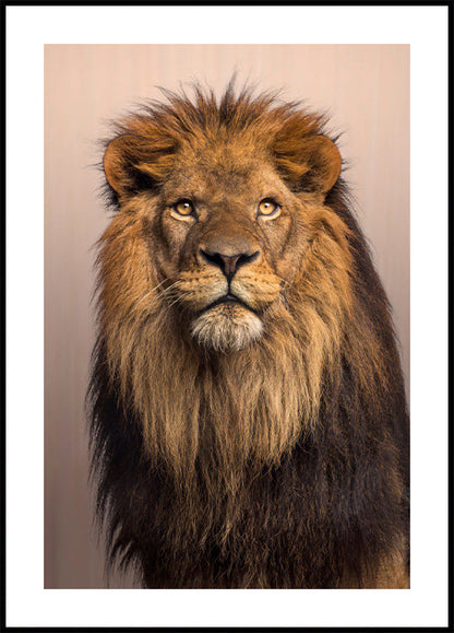 Majestic Lion -juliste 