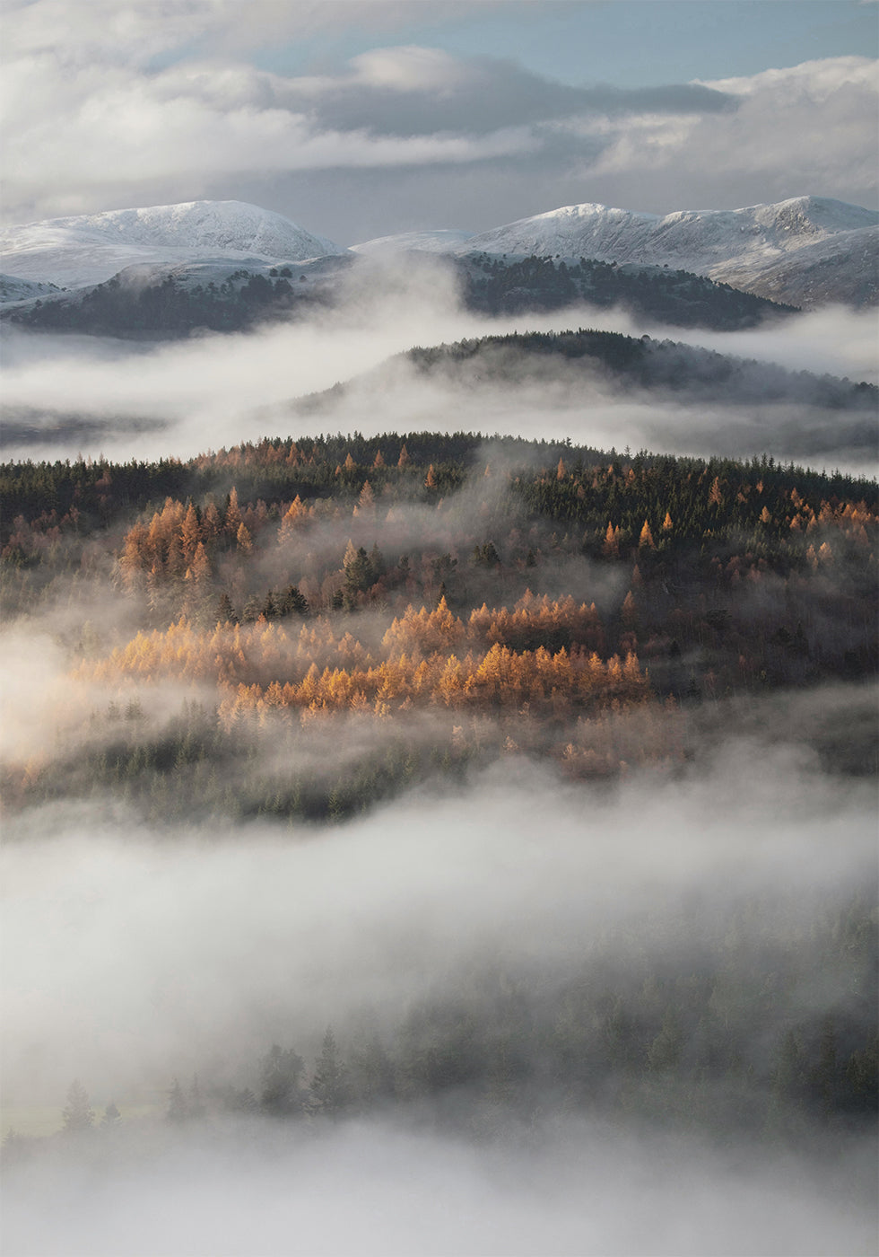 Misty Valley -juliste 