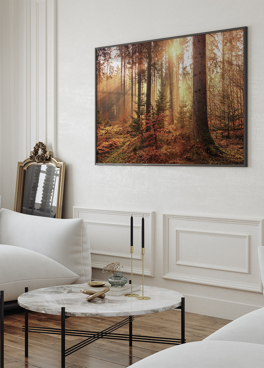 Serene Forest Illumination -juliste