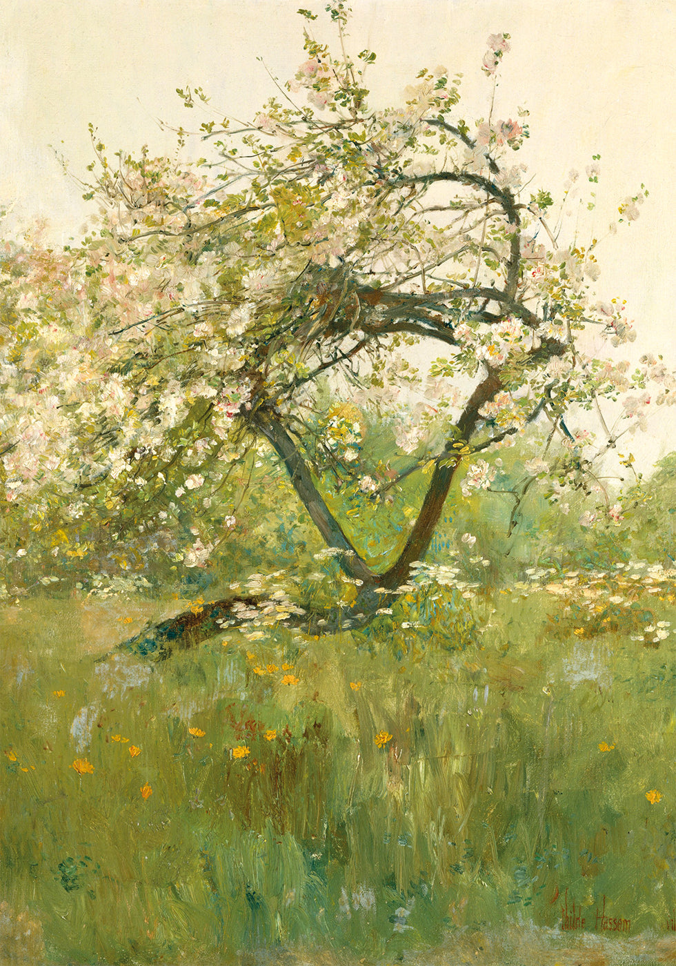 Peach Blossoms Villiers-le-Bel kirjoittanut Childe Hassam Juliste 