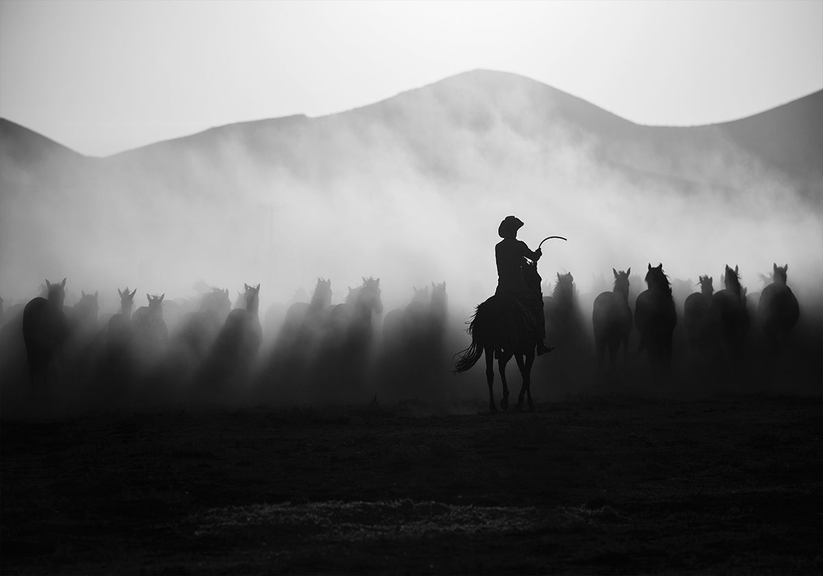 Jadeja takaa! Juliste