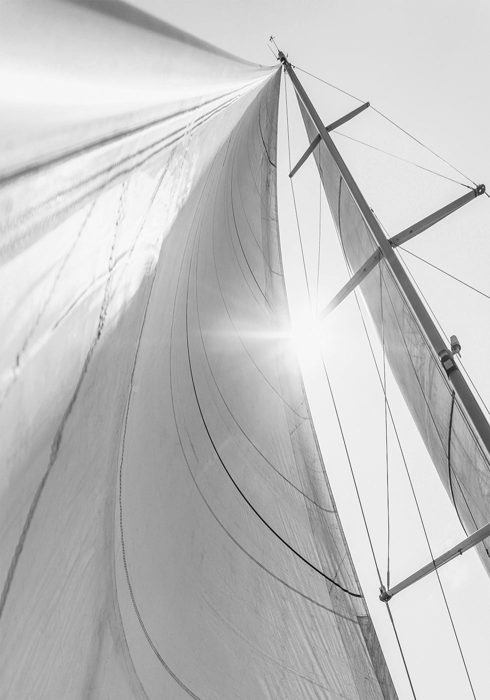 Sail In Sunlight -juliste 