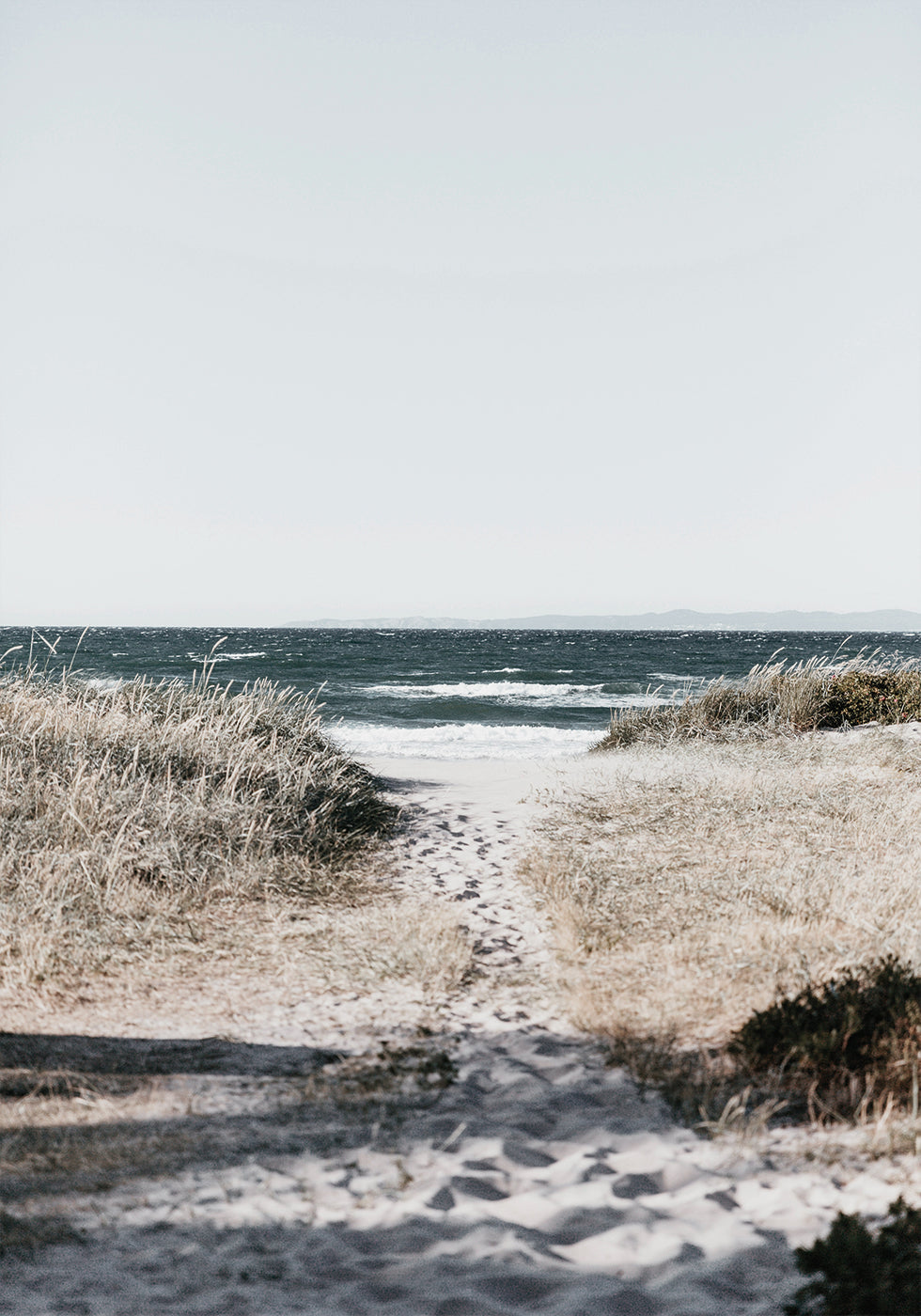 Sandy Path To the Ocean -juliste 