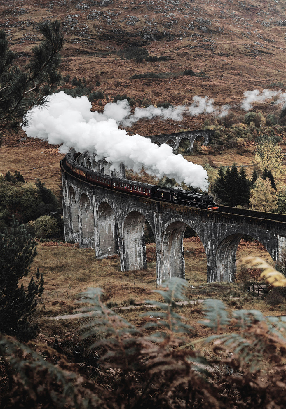 Steam Train -juliste 