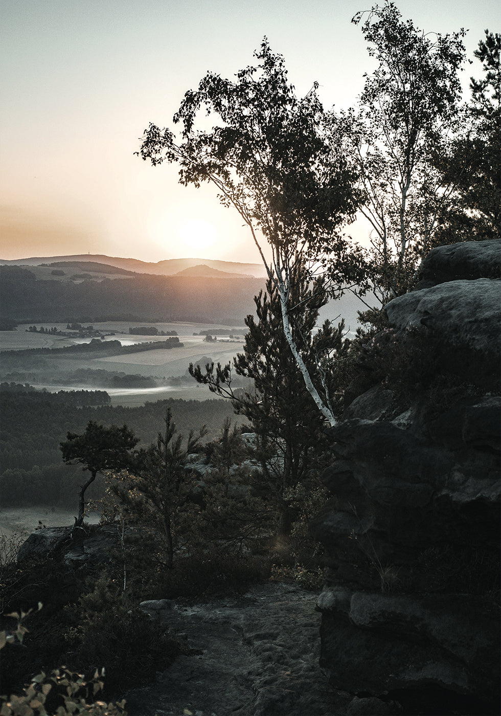 Auringonnousu kansallispuistossa, Sveitsi Juliste 