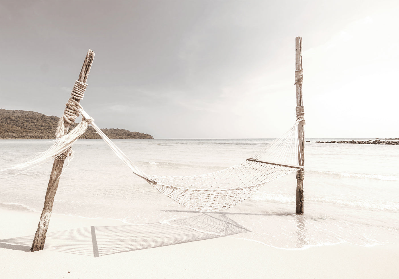 Tropical Beach Hammock -juliste 