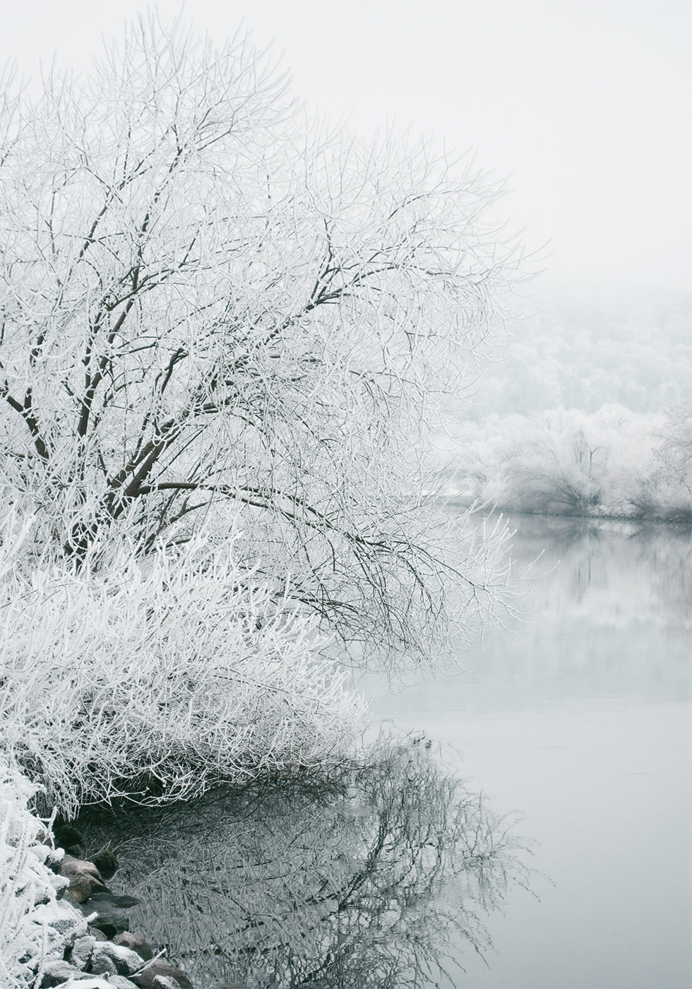 Winter Lake -juliste 