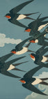 Swallows Harmony Poster - Posterbox