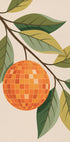Disco Orange (NEW) - Posterbox