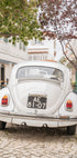 Driving Cascais (NEW) - Posterbox