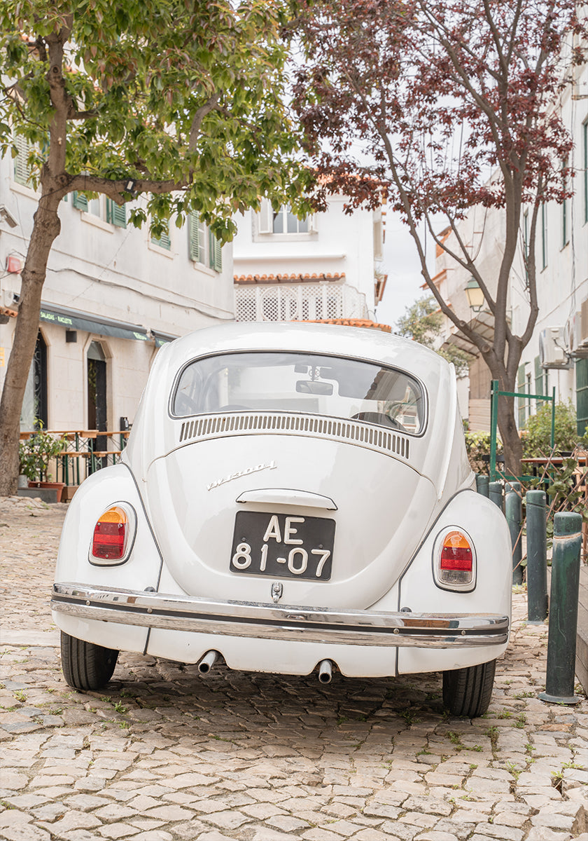Driving Cascais (NEW) - Posterbox