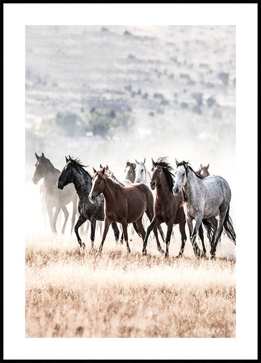 Wild Horses Free Spirit -juliste