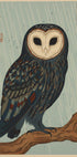 Rainy Owl Illustration Poster - Posterbox