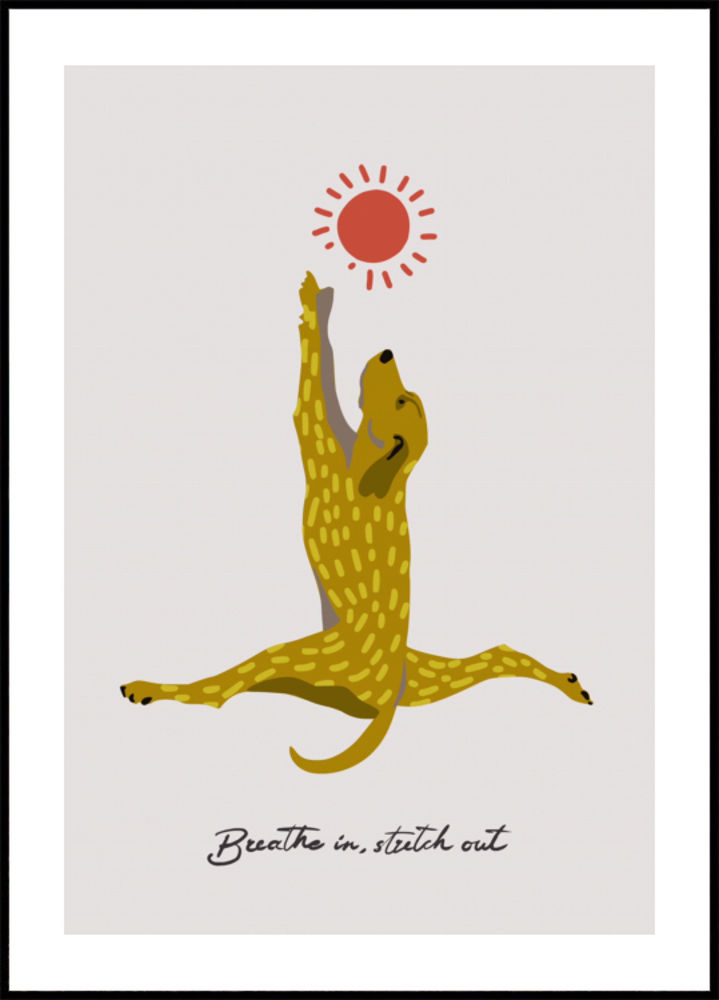 Venyttely Koira Sun