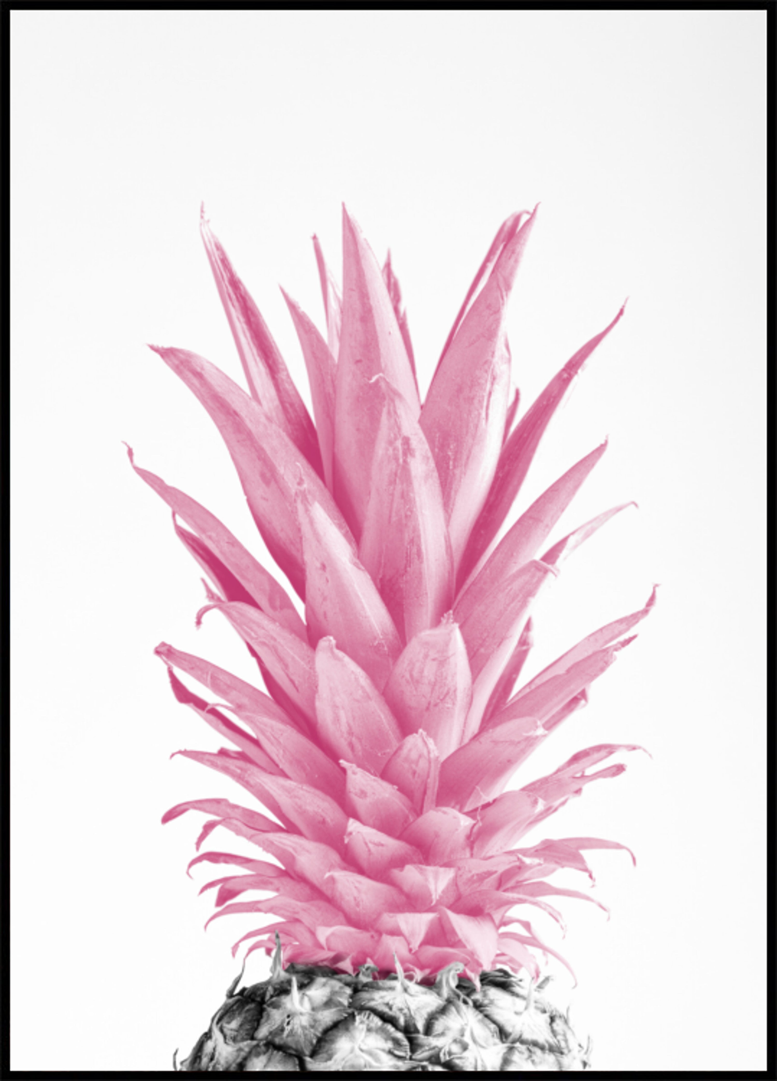 Trooppinen vaaleanpunainen ananas