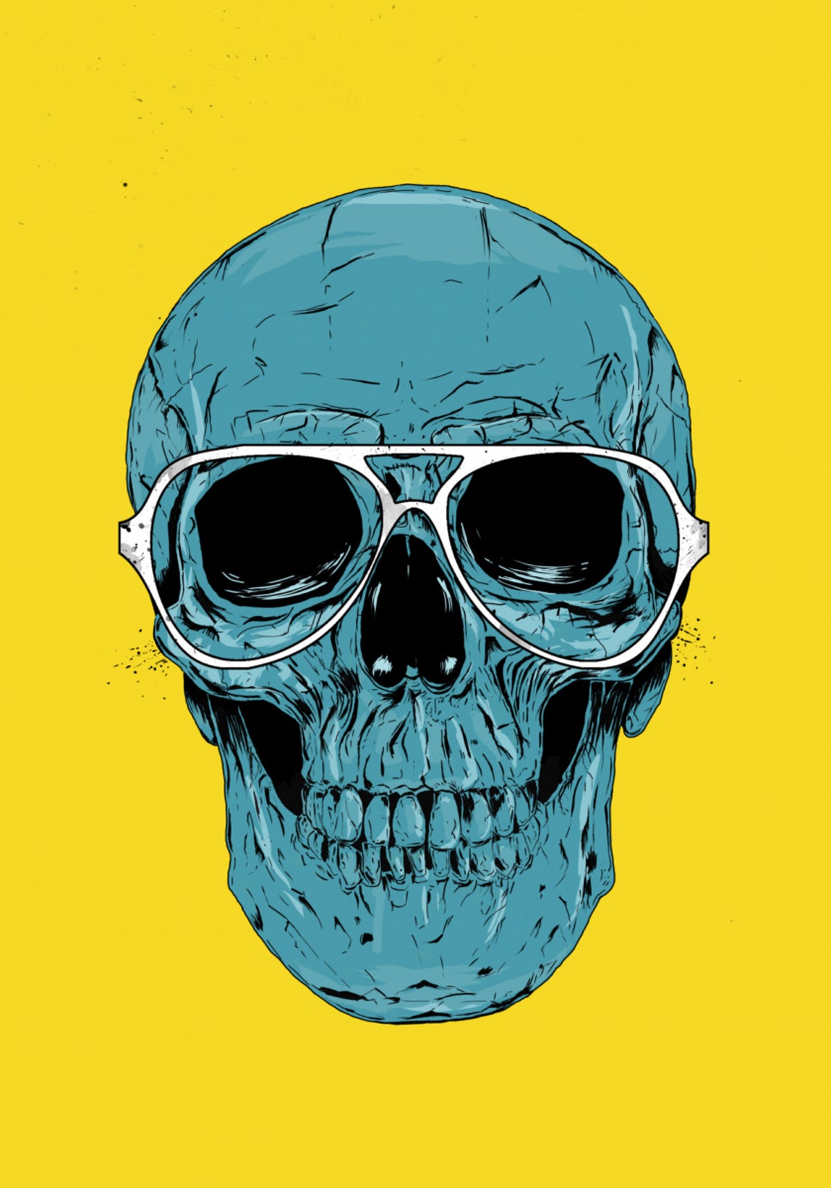 Hienot Skull Aviators