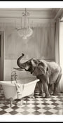 Elephant's Elegant -kylpyamme