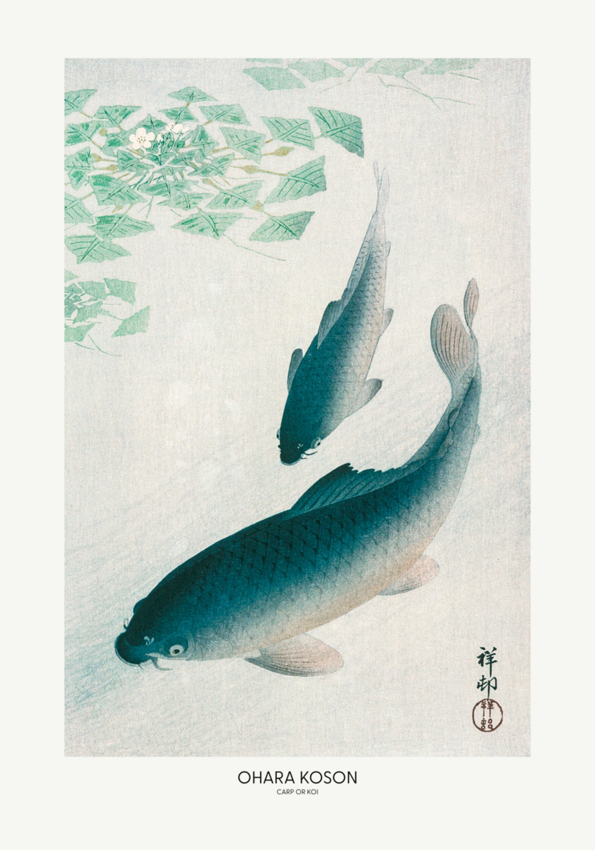 Karppi tai Koi