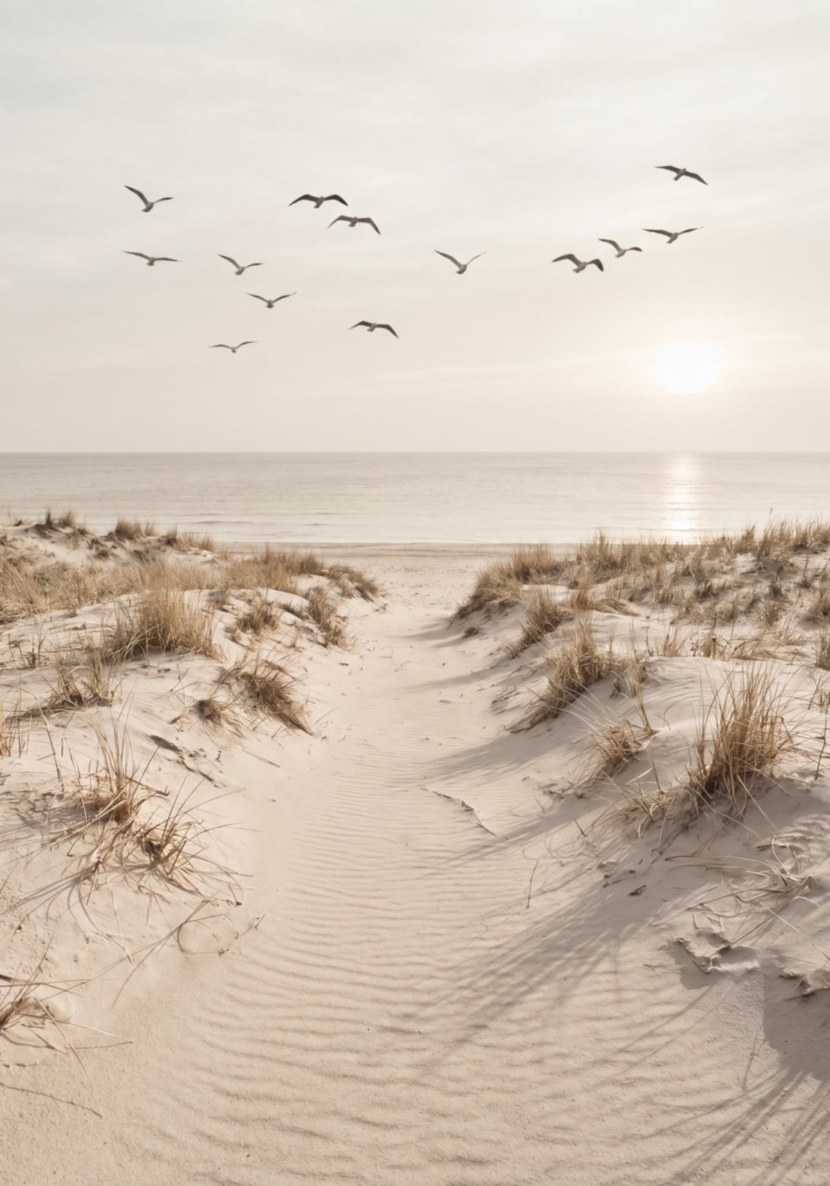 Rauhallinen Sandy Path