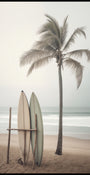 Serene Beach Surffilaudat