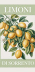 Lemons of Sorrento - Posterbox