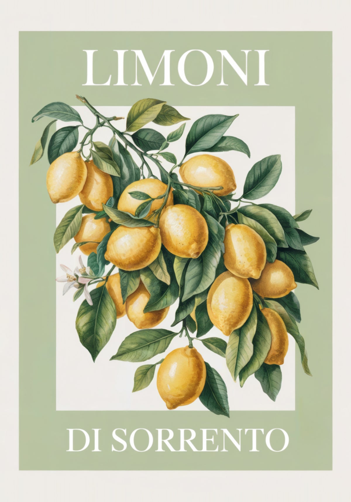 Lemons of Sorrento - Posterbox