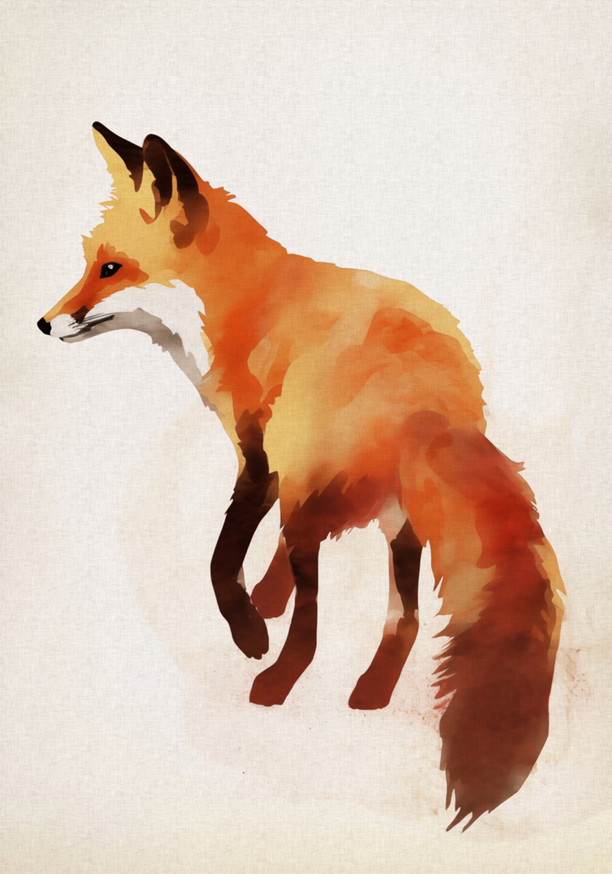 Red Fox kuvitus