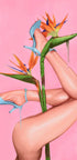 Blue Heels Bird Paradise - Posterbox
