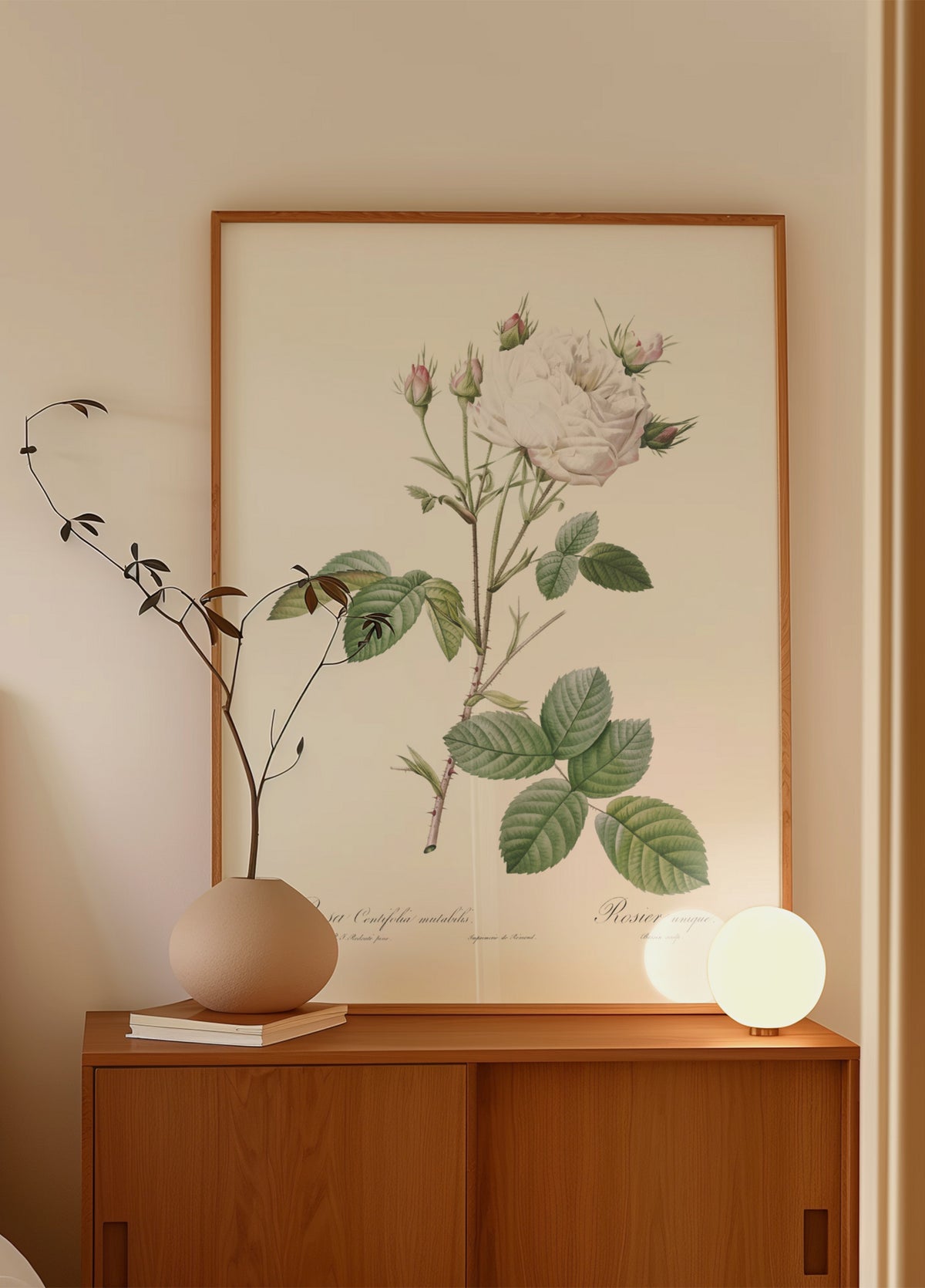 Cabbage Rose White Provence, Les Roses (1817–1824) - Posterbox
