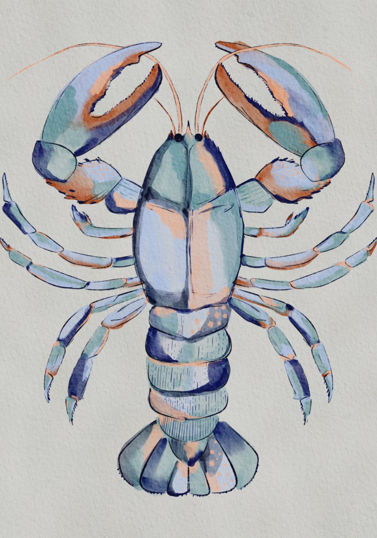 Vesiväri Blue Lobster