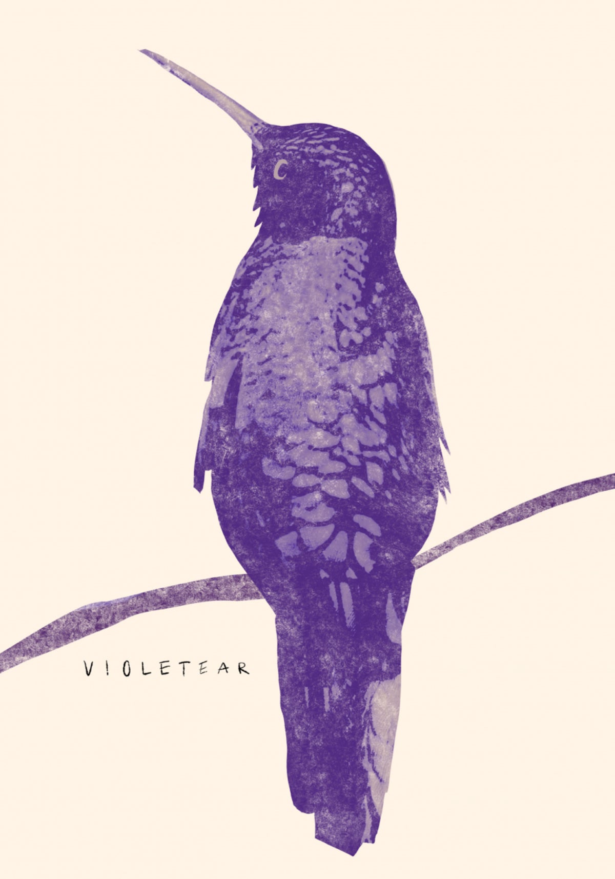 Tyylikäs Violet Hummingbird