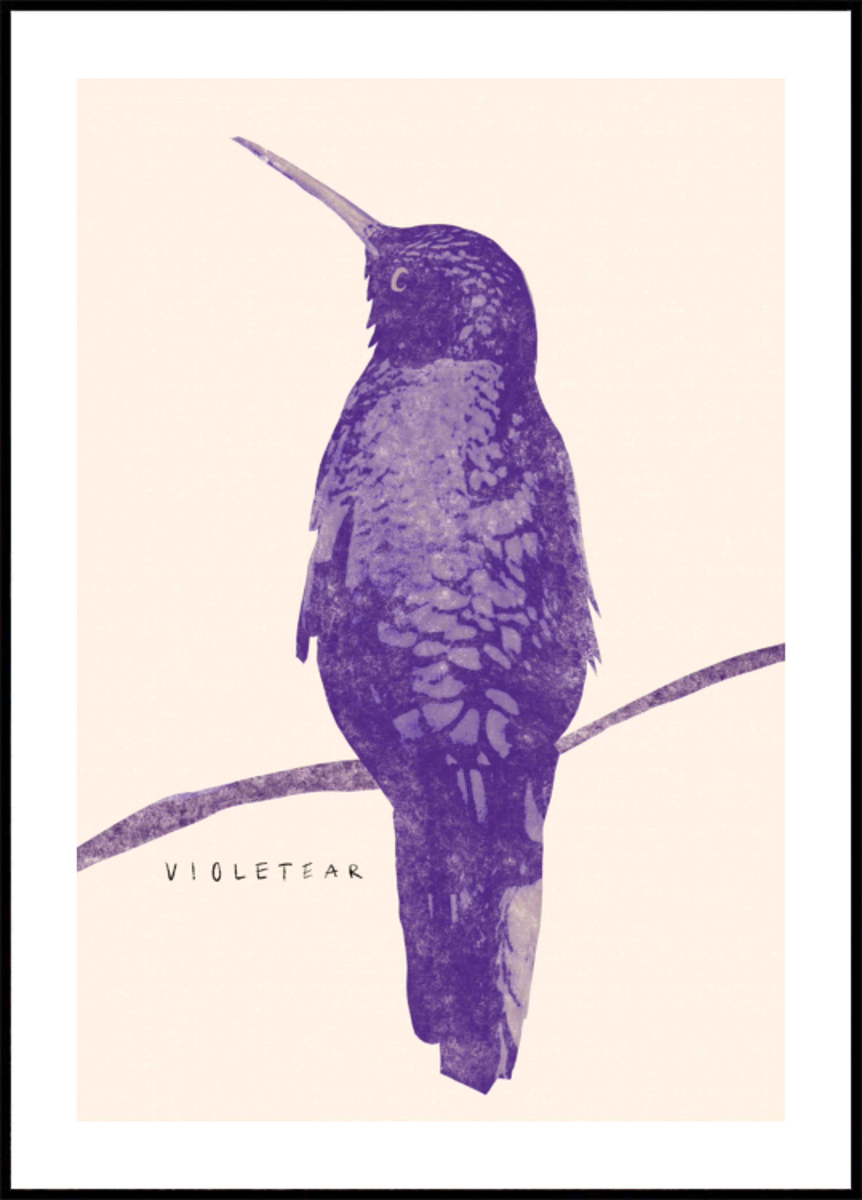 Tyylikäs Violet Hummingbird