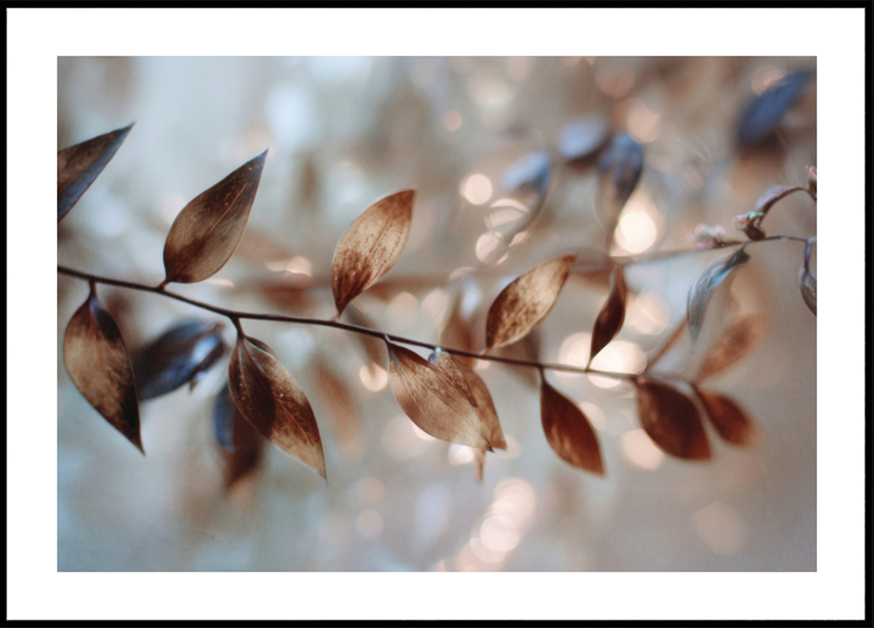 Herkät Bokeh-lehdet